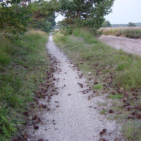 Herberg De Roskam Uffelte Esterno foto